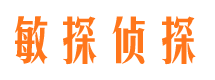 富民市侦探调查公司